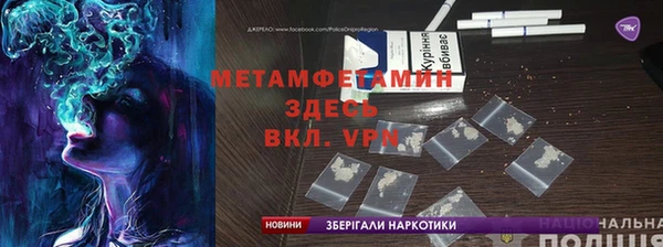 сатива Покачи
