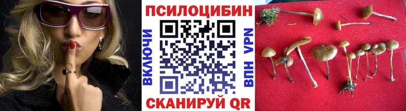 где можно купить наркотик  Лосино-Петровский  Галлюциногенные грибы Psilocybine cubensis 