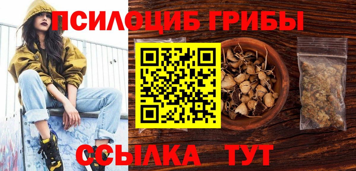 дарнет шоп  Псилоцибиновые грибы ЛСД  Вход с VPN  Лосино-Петровский 